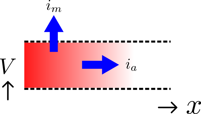 Current flow in a leaky cable