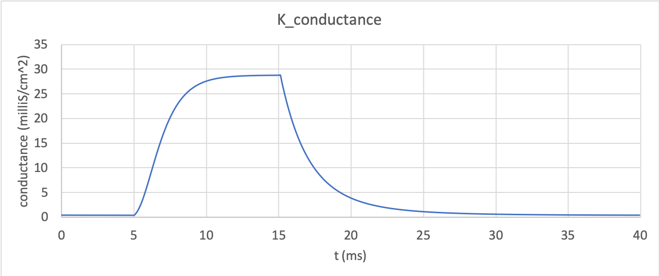 Condunctance dynamics of potassium channel
